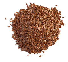 Laneno seme slovensko eko