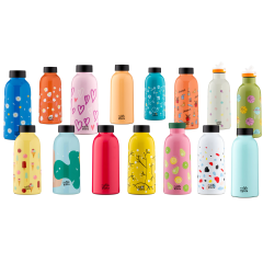 Termo steklenička iz jekla, 470 ml