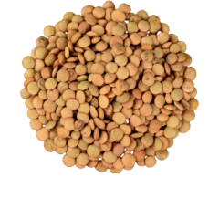 Zelena leča eko - BREZ GLUTENA