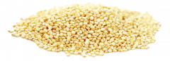Eko bela kvinoja - BREZ GLUTENA