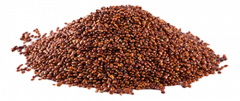 Eko rdeča kvinoja - BREZ GLUTENA
