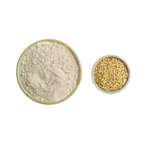 Ajdova moka, eko - BREZ GLUTENA