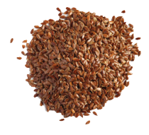 Laneno seme slovensko eko